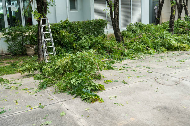 Palm Bay, FL  Tree Services Company